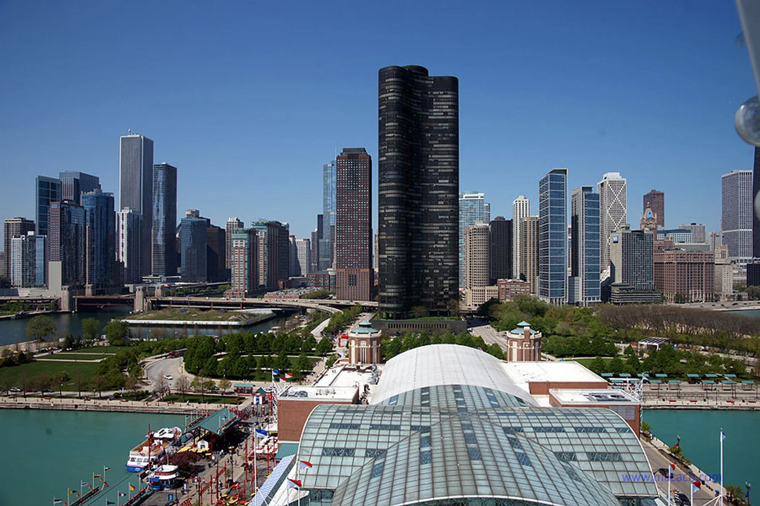 Top or Best Menu Design Agencies and Companies in Illinois