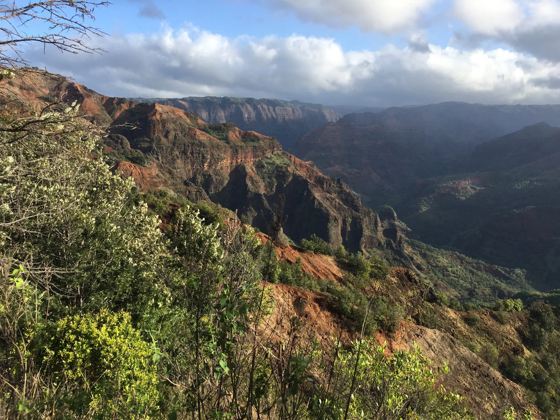 Top or Best Copywriting Agencies and Companies in Hawaii