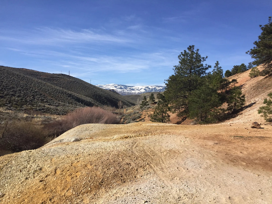 Best or Top Menu Design Agencies and Companies in Reno, Nevada