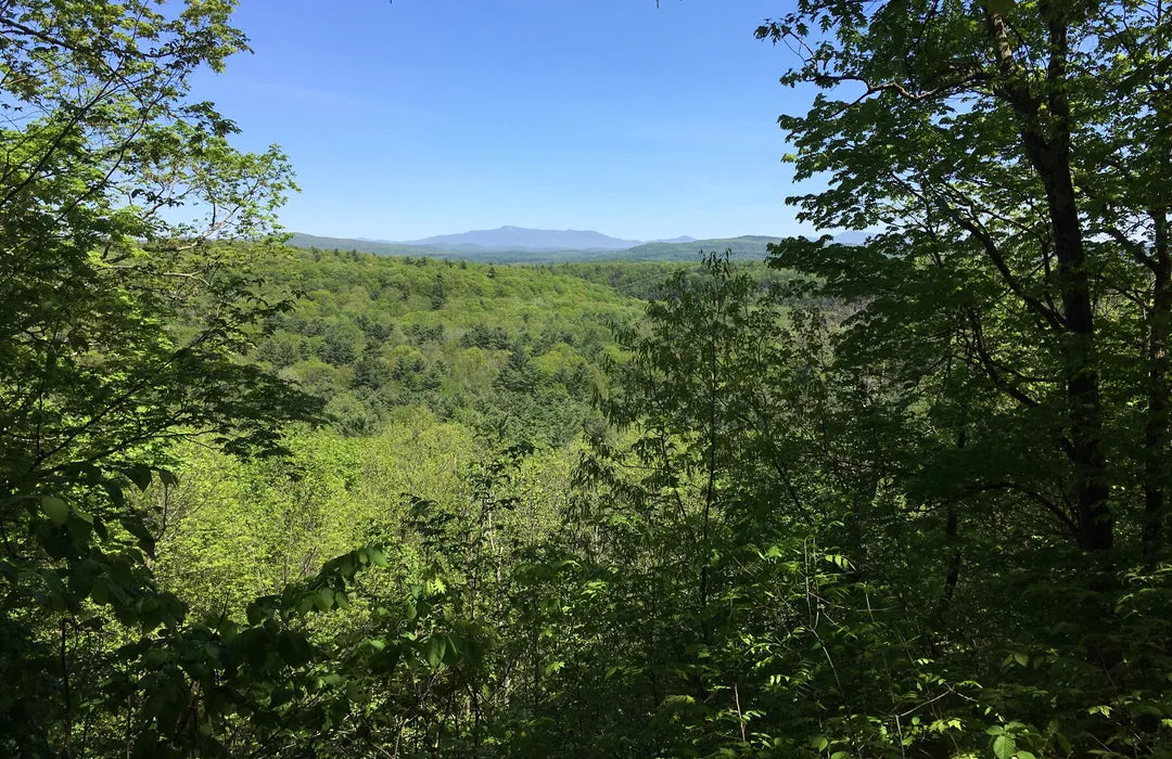 Top or Best Graphics for Streamers Agencies and Companies in Colchester, Vermont