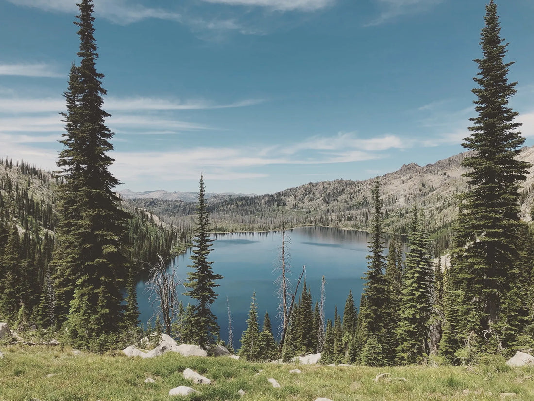 Top or Best Influencer Marketing Campaign Agencies and Companies in Idaho