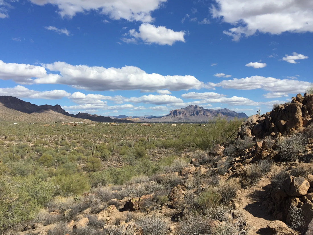 Athlete Brand Partnership in Arizona