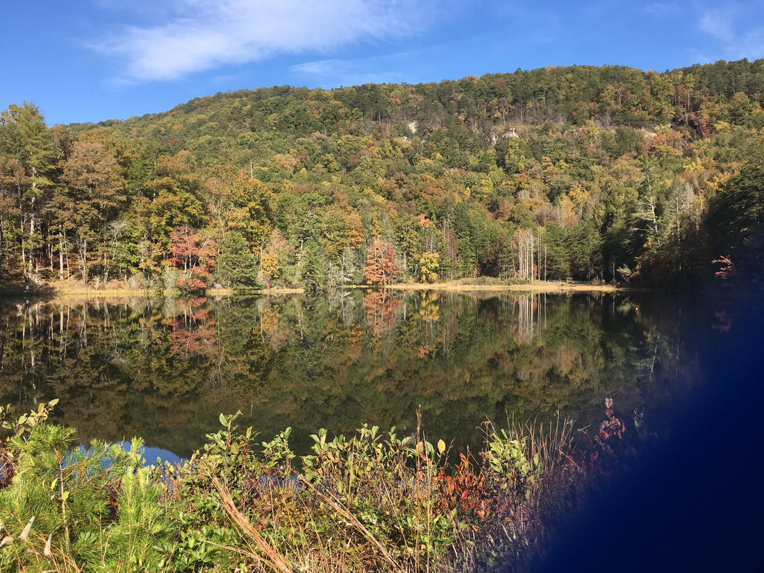 Best or Top LinkedIn Management Agencies and Companies in Fort Mill, South Carolina