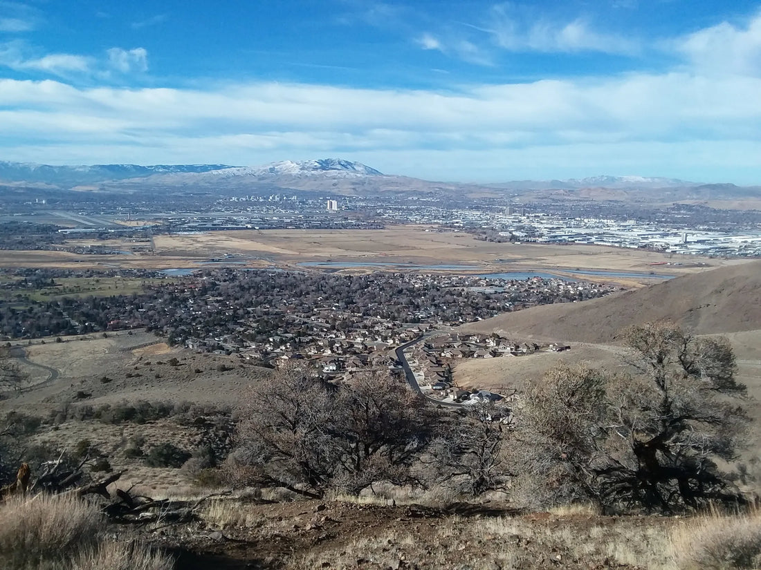 Best or Top Animation & Motion Graphics Agencies and Companies in Reno, Nevada