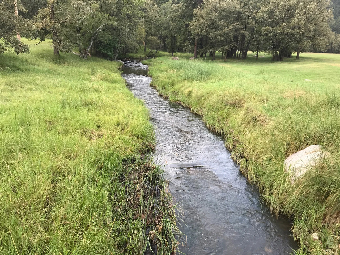 Best or Top Social Media Design Agencies and Companies in Sioux Falls, South Dakota