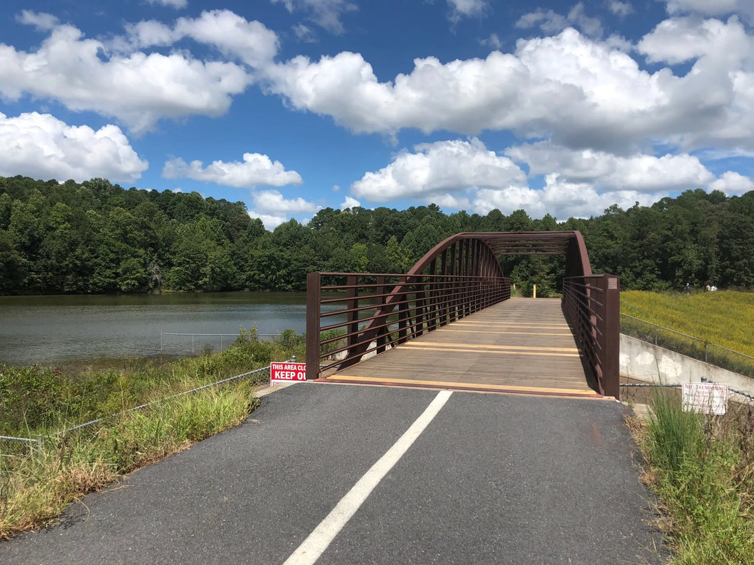 Top Influencer Outreach & Coordination Agencies and Companies in Georgia