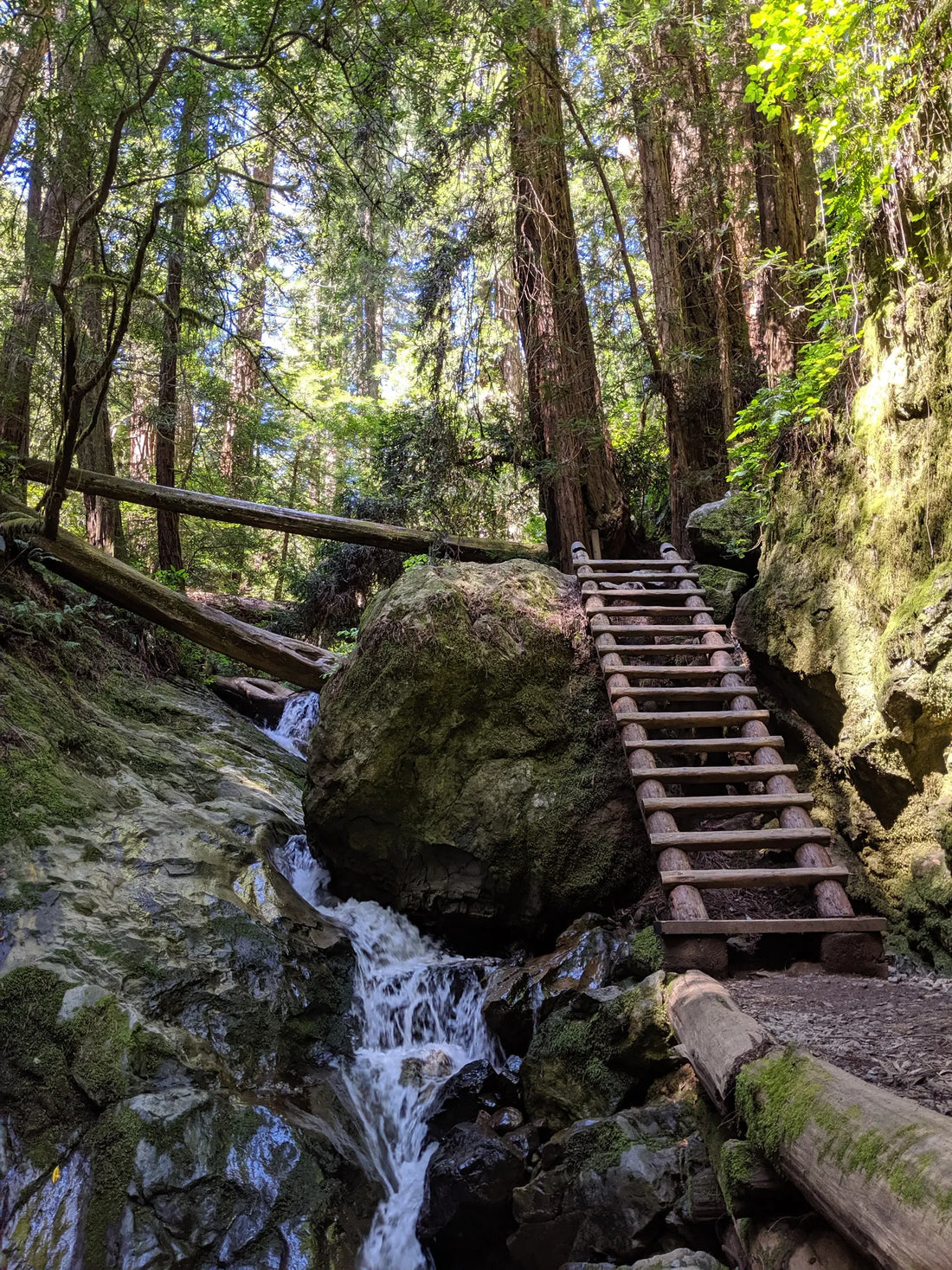 Top Influencer Marketing Agencies and Companies in California