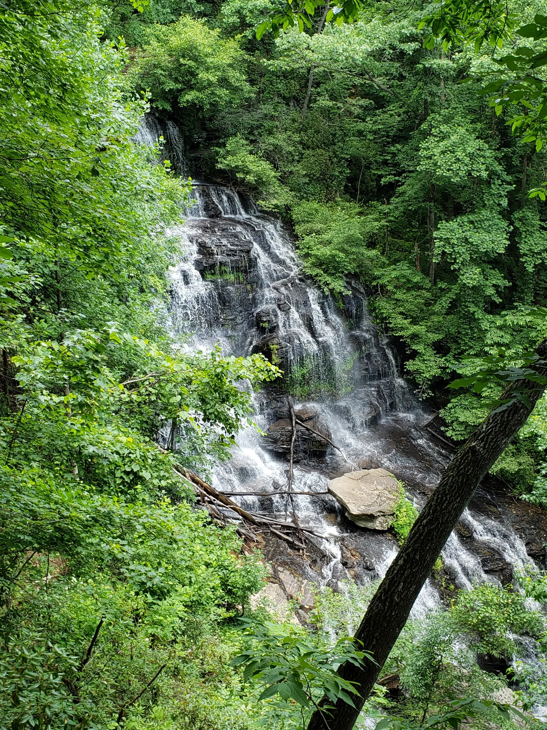 Best or Top X (Twitter) Management Agencies and Companies in Fort Mill, South Carolina