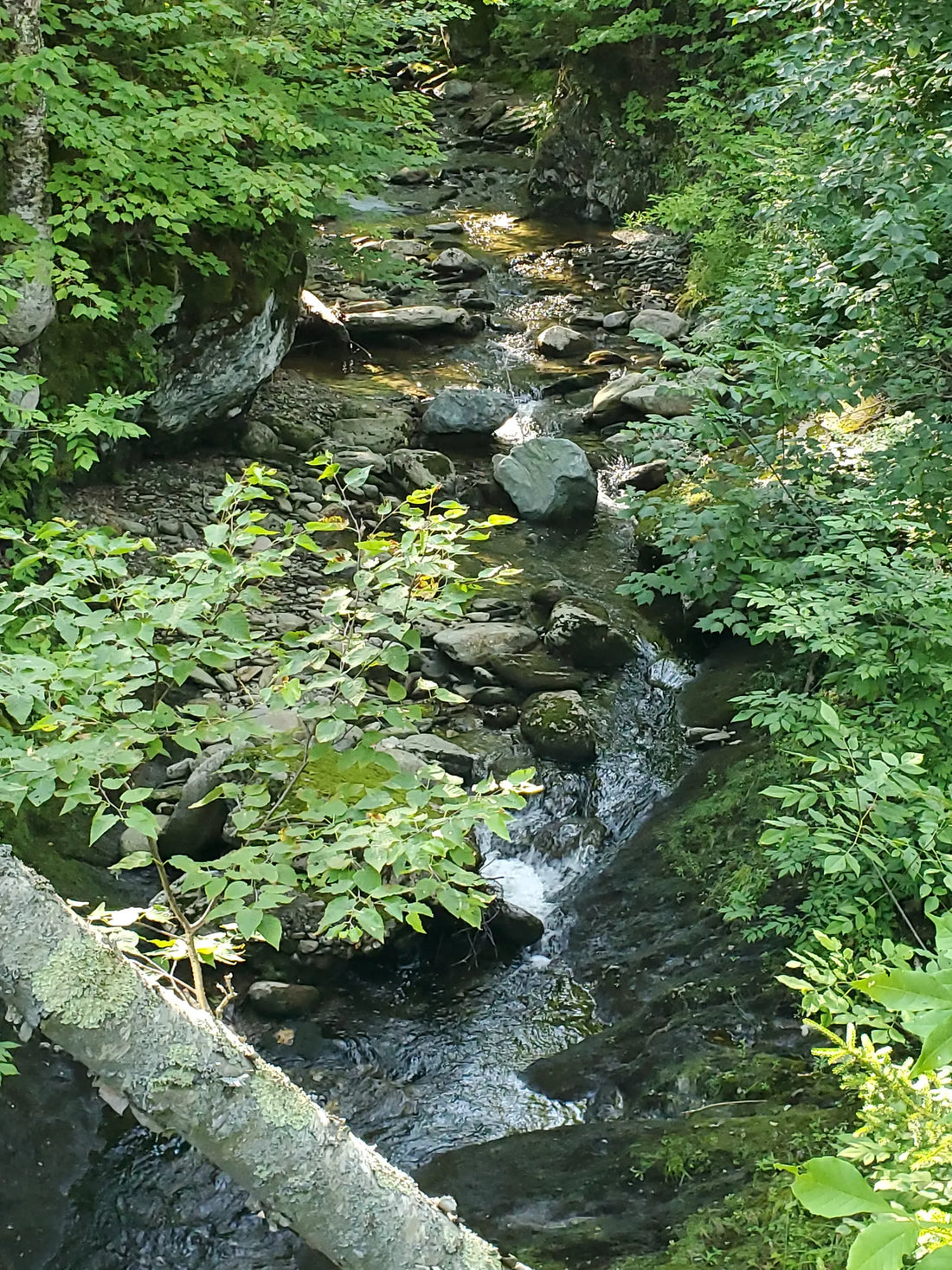 Best or Top Direct Mail Design Agencies and Companies in St. Johnsbury, Vermont