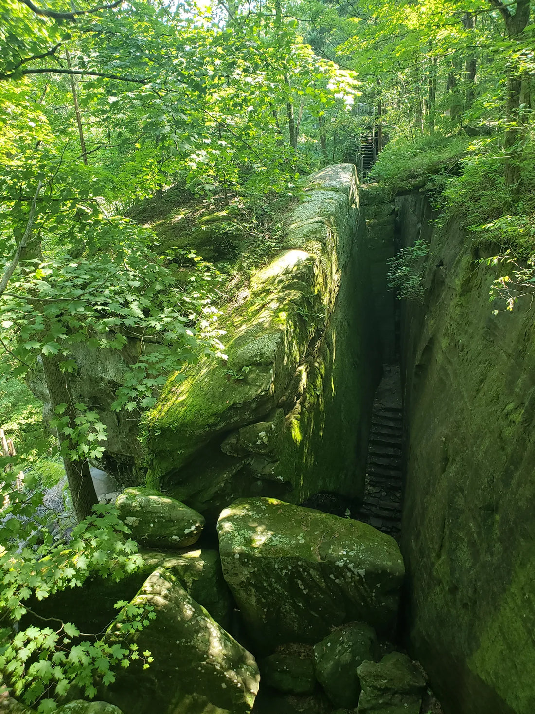 Top or Best Influencer Brand Collaboration Agencies and Companies in Illinois