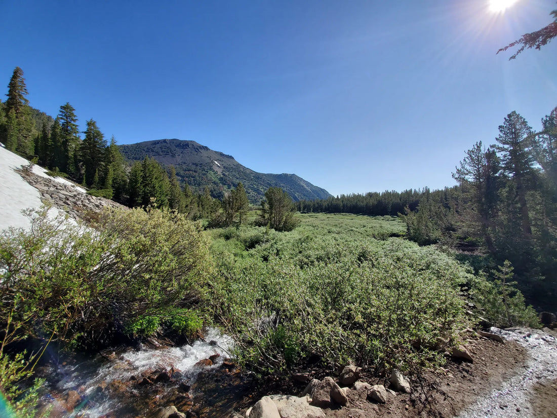 Best or Top Infographic Design Agencies and Companies in Reno, Nevada