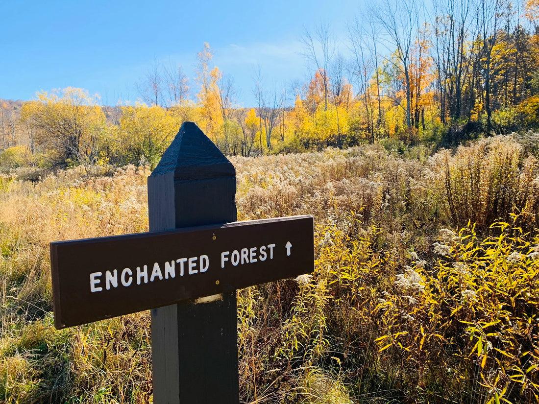 Best or Top Graphics for Streamers Agencies and Companies in Montpelier, Vermont