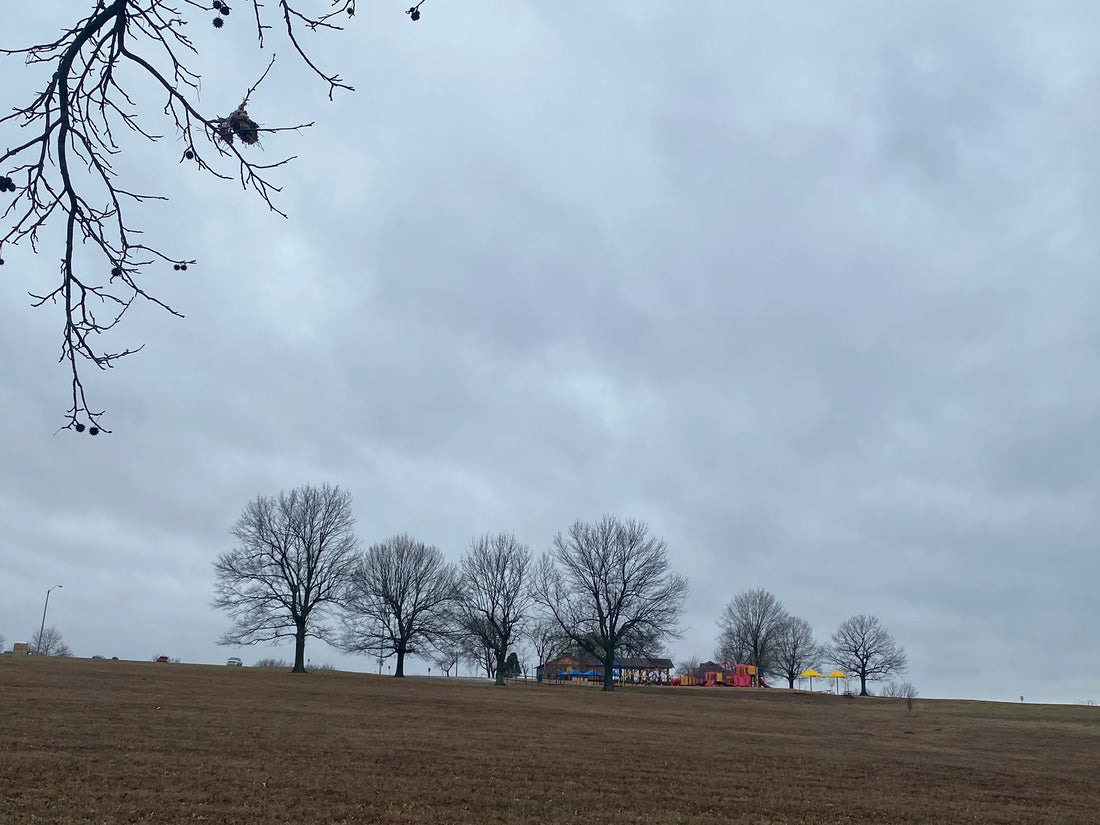 Best or Top Instagram Management Agencies and Companies in Muskogee, Oklahoma