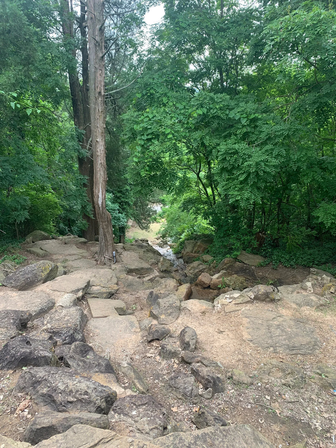 Best or Top Infographic Design Agencies and Companies in Muskogee, Oklahoma