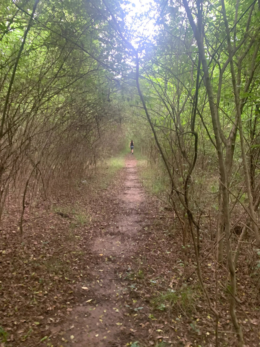 Best or Top Brochure Design Agencies and Companies in Muskogee, Oklahoma