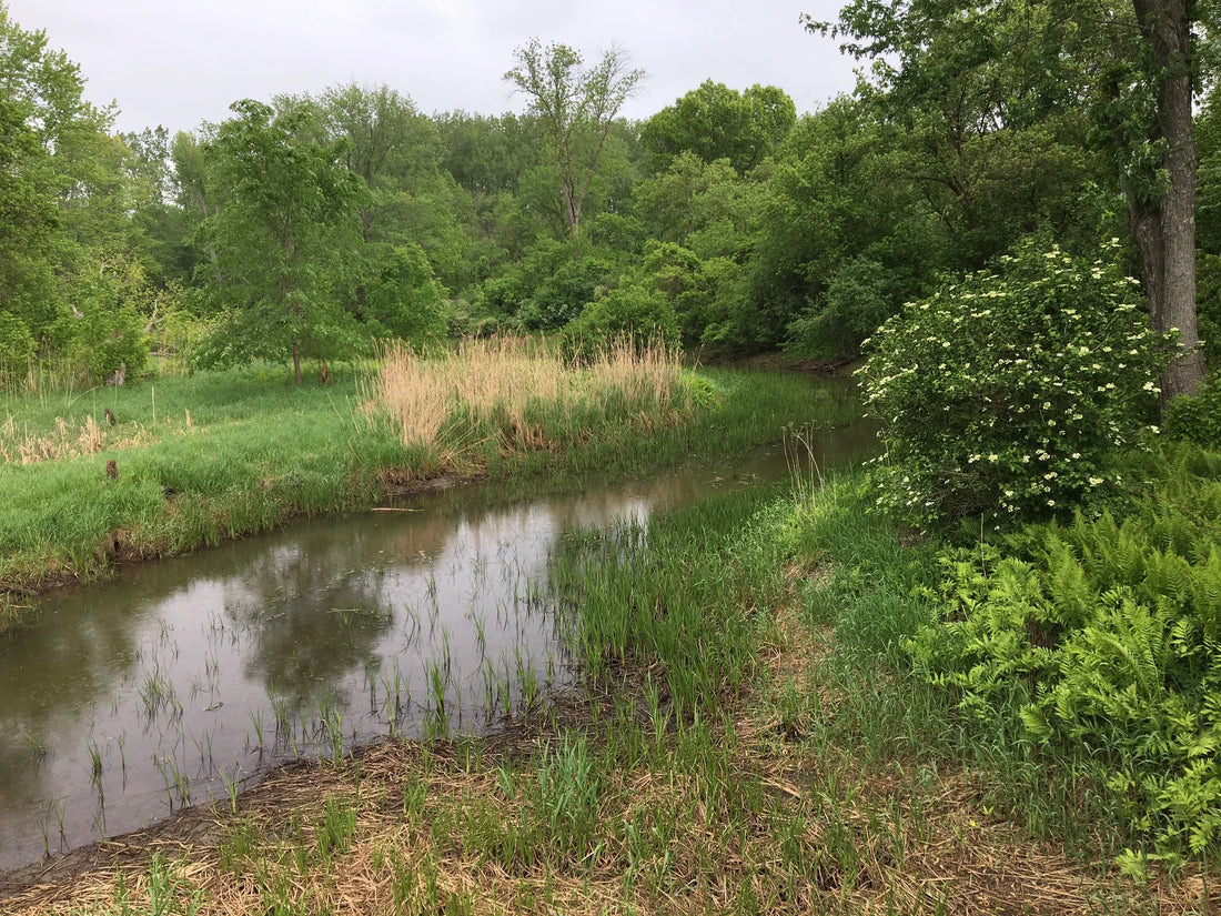 Best or Top Graphic Design Agencies and Companies in Montpelier, Vermont