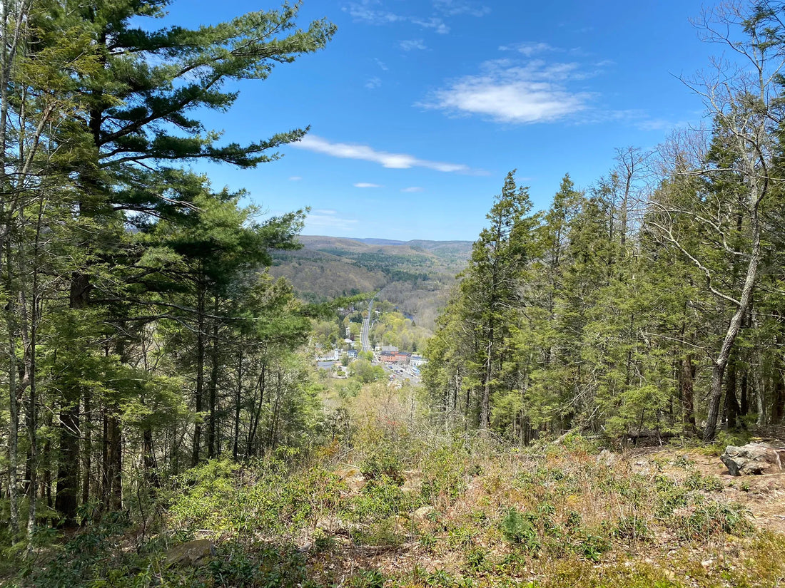 Top Influencer Outreach and Coordination Agencies and Companies in Connecticut
