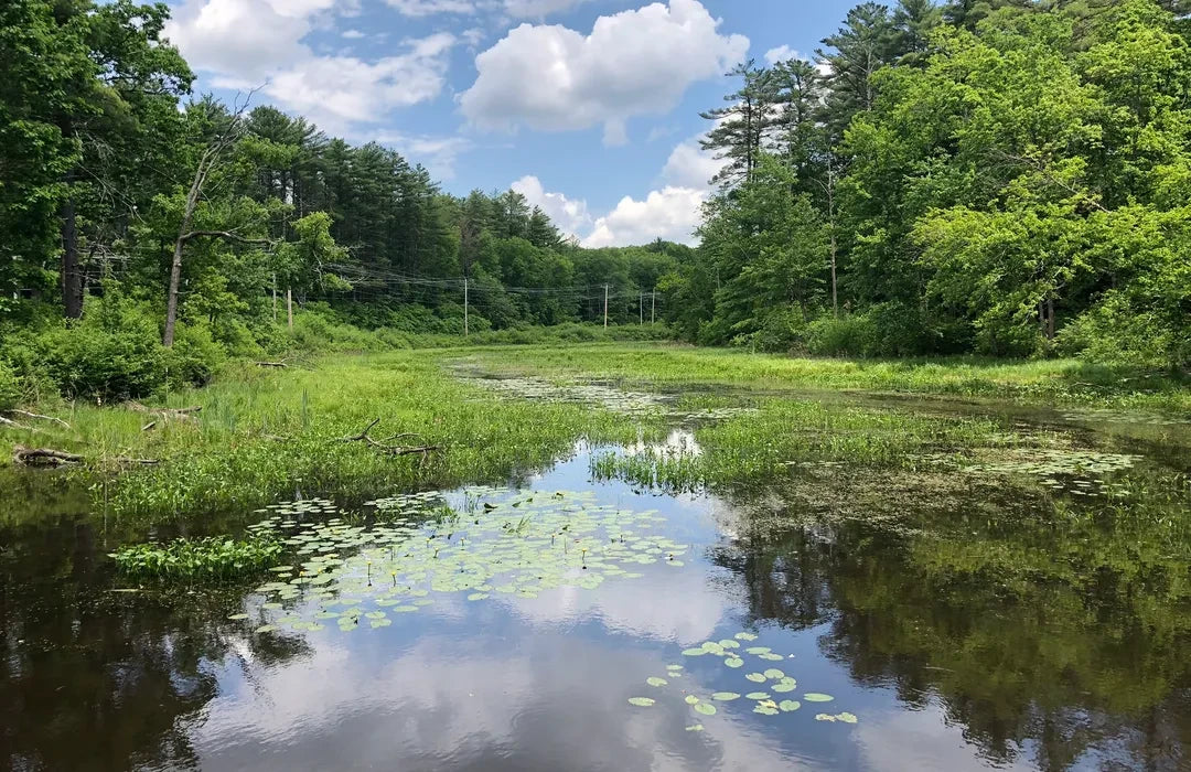 Top or Best Menu Design Agencies and Companies in Exeter, New Hampshire