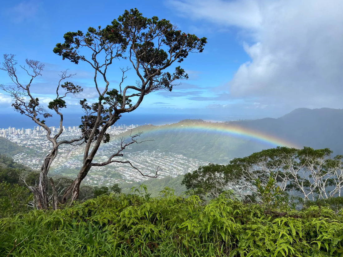 Top Influencer Marketing Agencies and Companies in Hawaii