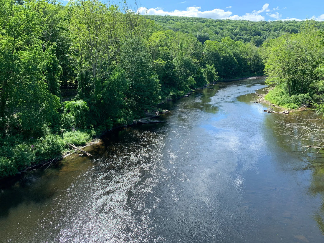 Top Athlete Brand Collaboration Agencies and Companies in Connecticut