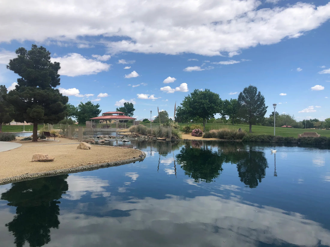 Best or Top Mural Design Agencies and Companies in North Las Vegas, Nevada