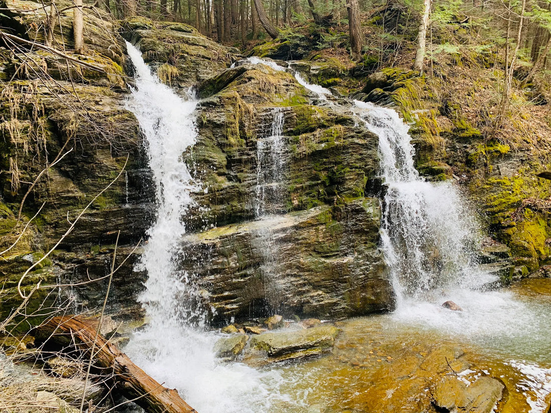 Best or Top Animation & Motion Graphics Agencies and Companies in St. Johnsbury, Vermont