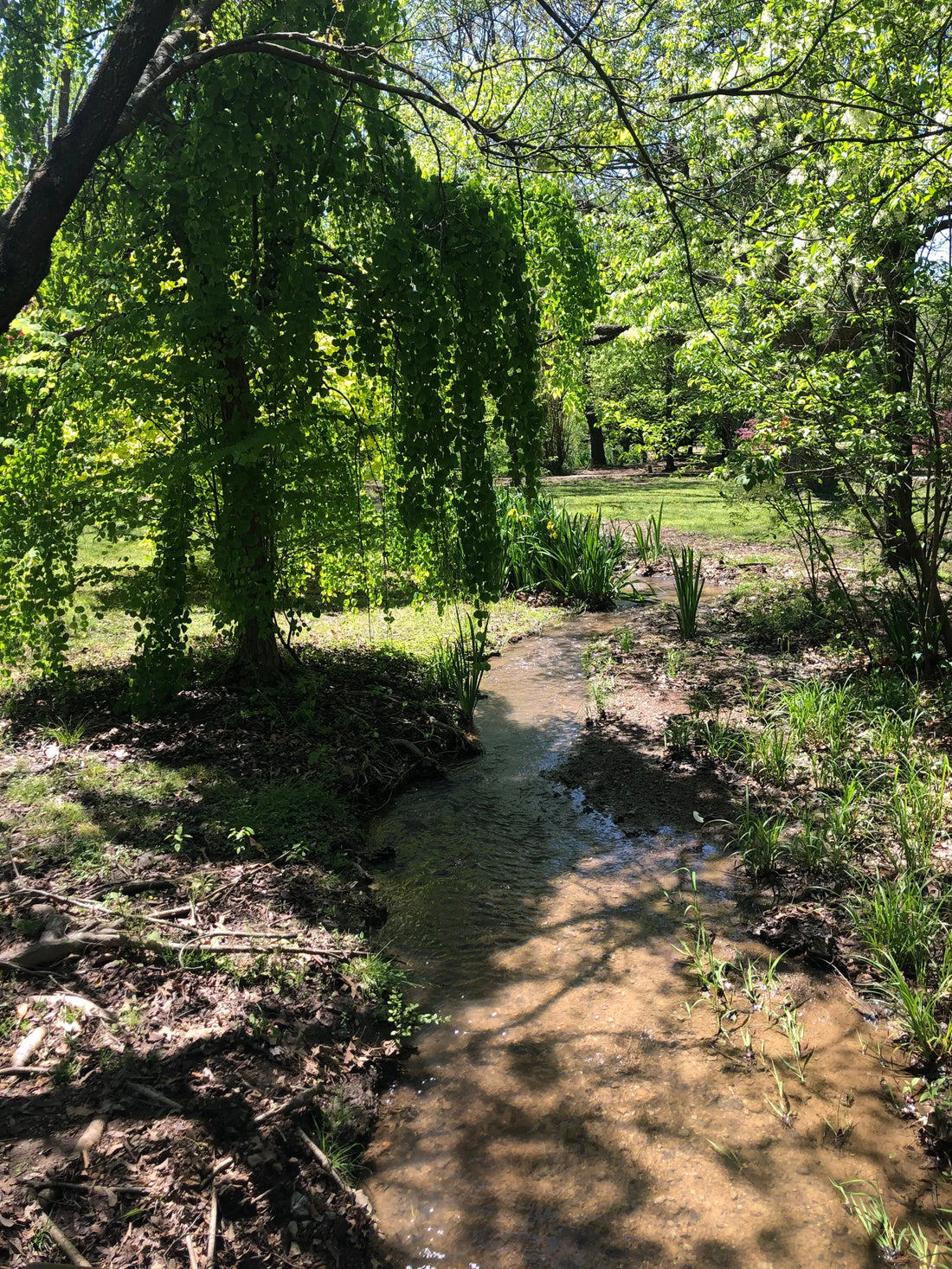 Best or Top Menu Design Agencies and Companies in Muskogee, Oklahoma