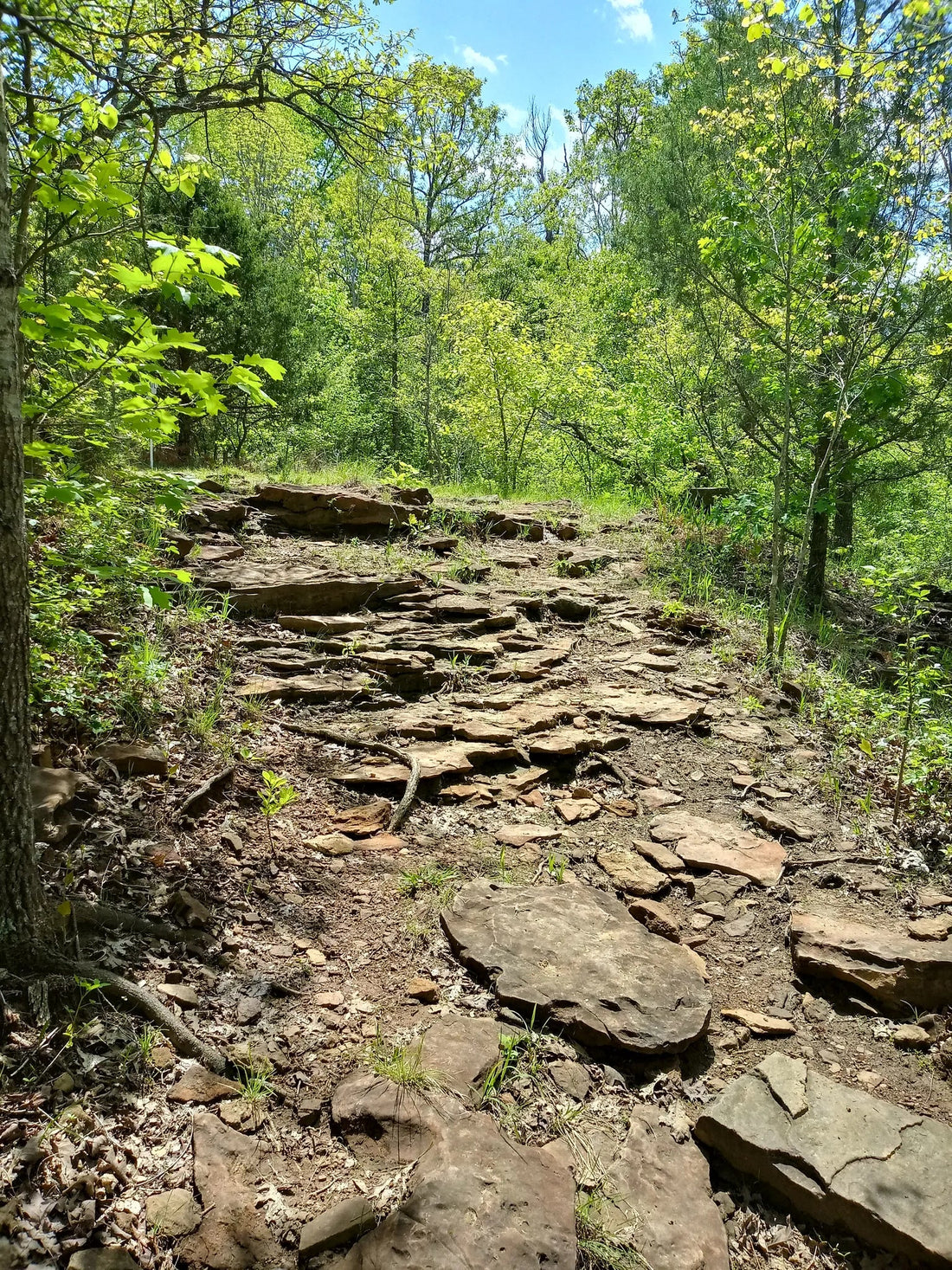 Best or Top Tattoo Design Agencies and Companies in Shawnee, Oklahoma