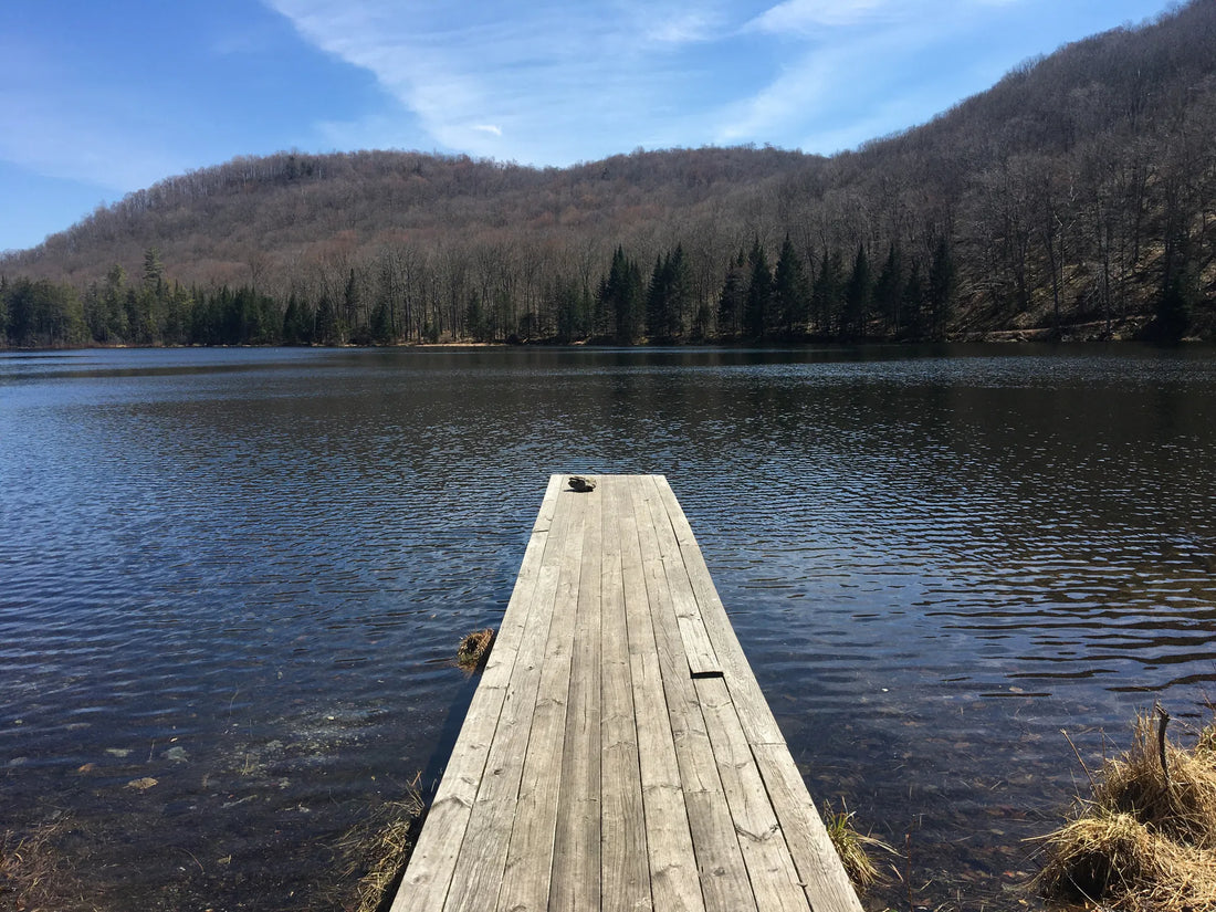 Best or Top NFT Art Agencies and Companies in Montpelier, Vermont