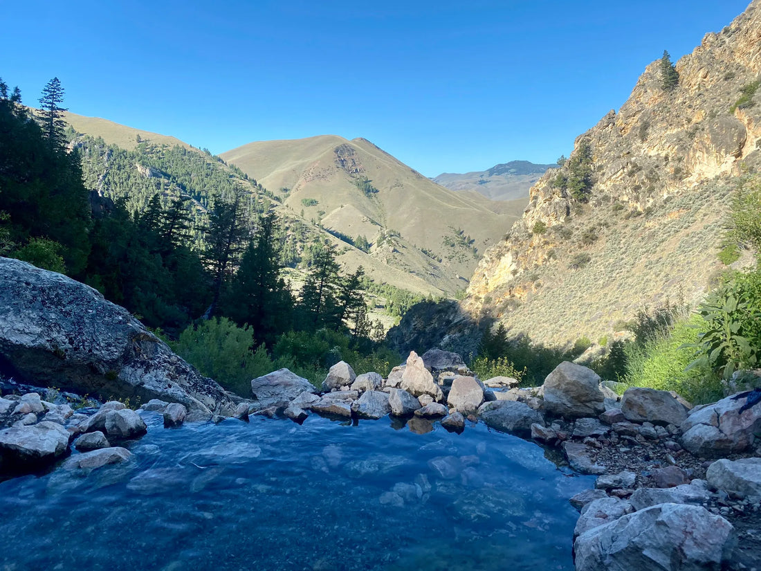 Top or Best Tattoo Design Agencies and Companies in Idaho