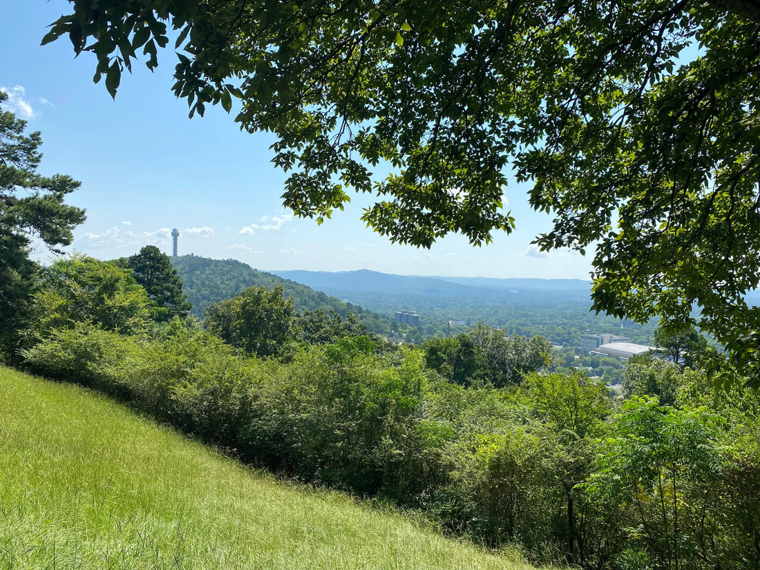Top Talent Agencies and Companies in Arkansas