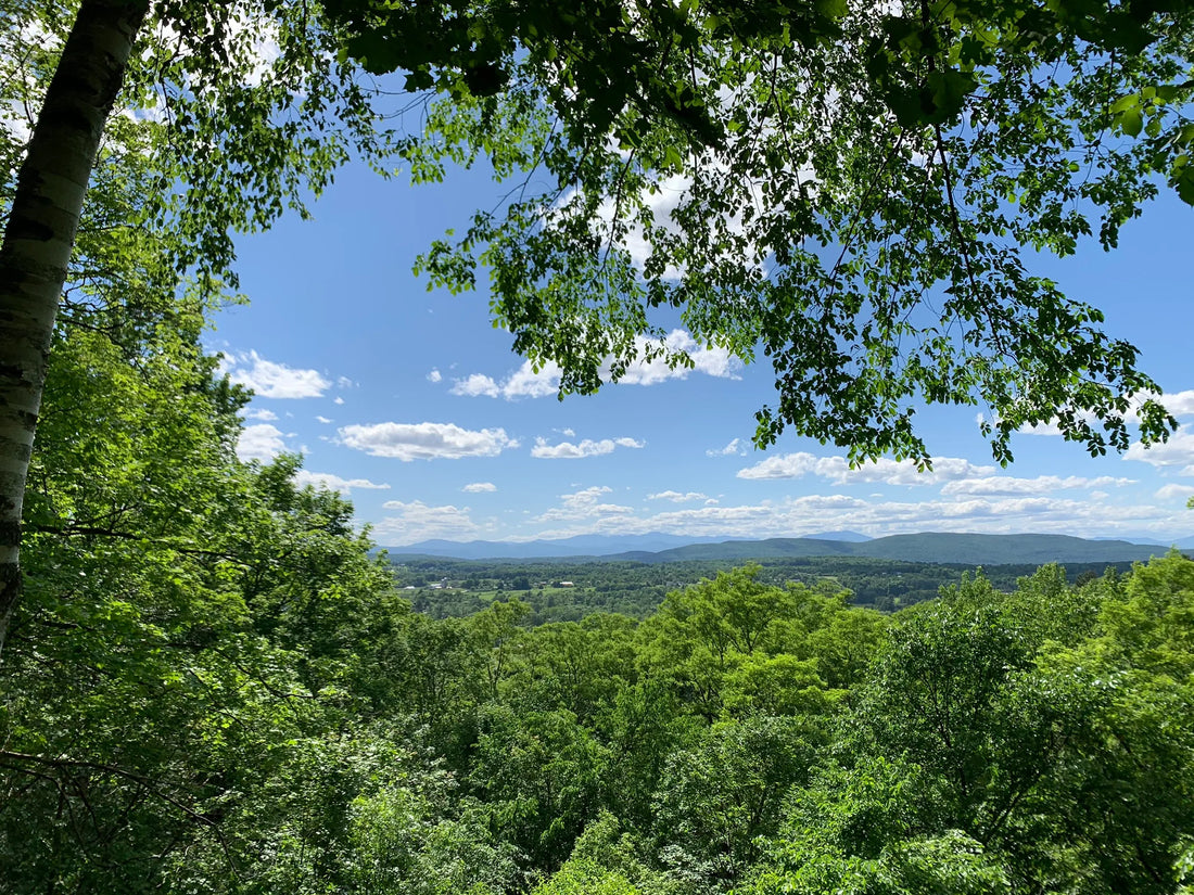 Best or Top Brochure Design Agencies and Companies in Springfield, Vermont