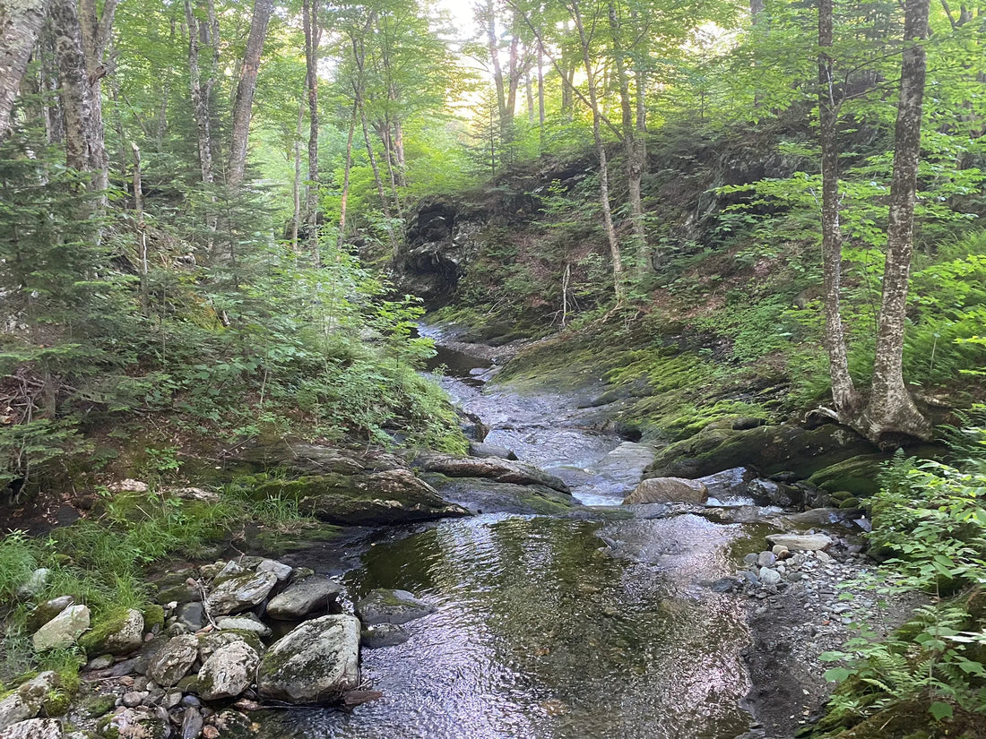 Best or Top AR Filters & Lenses Agencies and Companies in Barre Town, Vermont