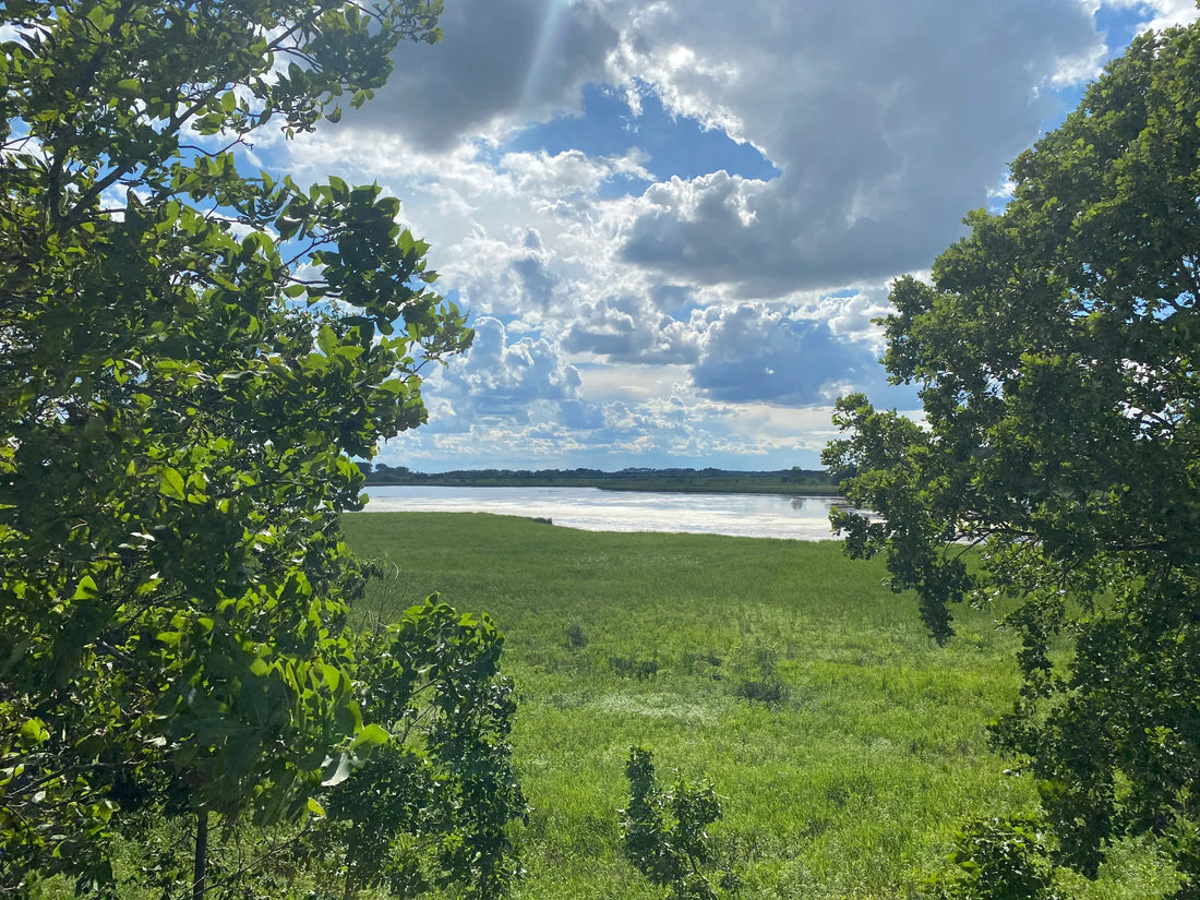 Top or Best Social Media Design Agencies and Companies in Illinois