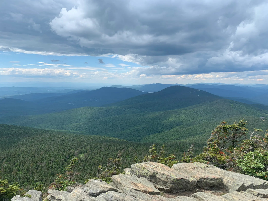 Best or Top App UI/UX Design Agencies and Companies in Springfield, Vermont