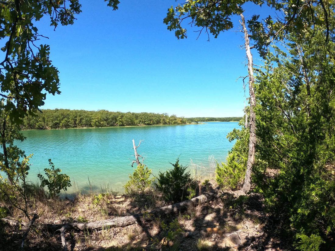 Best or Top Logo Animation Agencies and Companies in Ardmore, Oklahoma