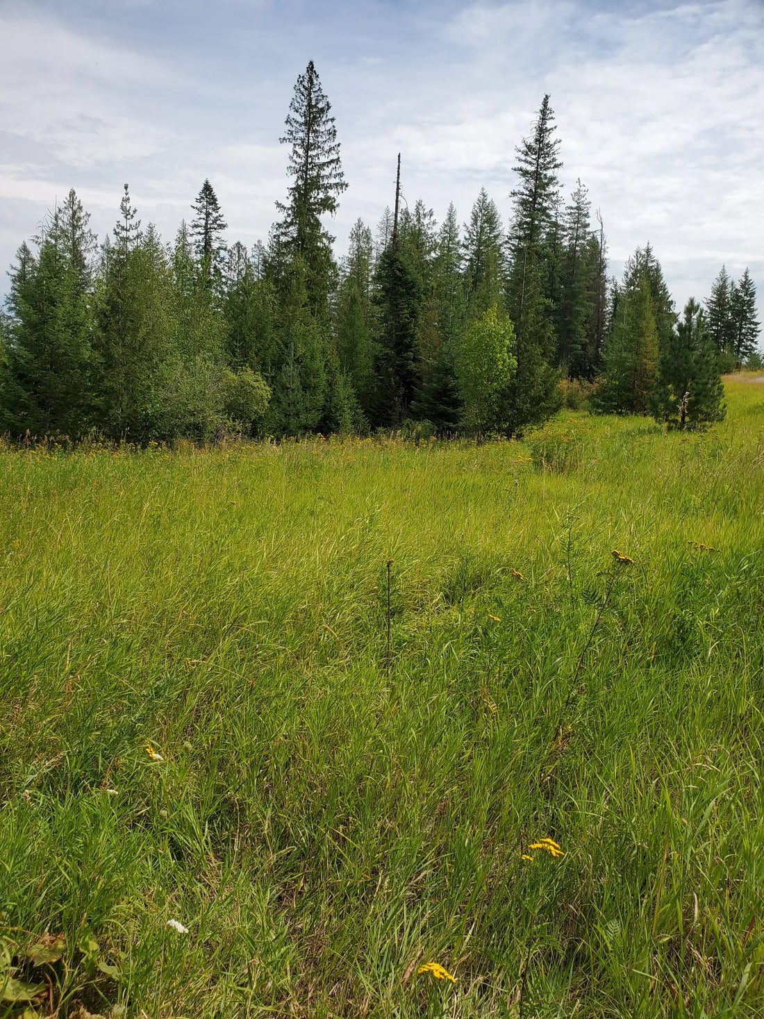 Top or Best Influencer Management Agencies and Companies in Idaho