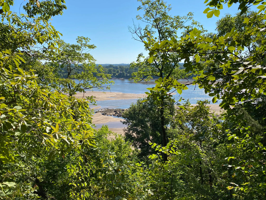 Best or Top Portraits & Caricatures Agencies and Companies in Ponca City, Oklahoma