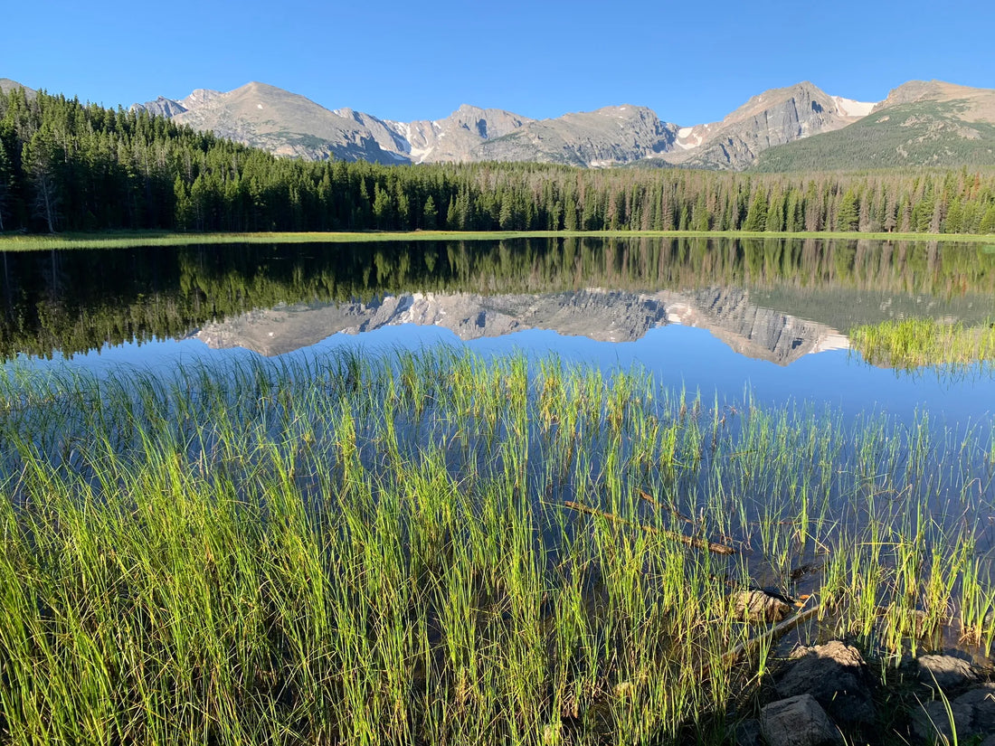 Top Athlete Agencies and Companies in Colorado