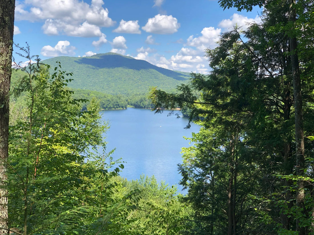 Best or Top Catalog Design Agencies and Companies in St. Albans town, Vermont