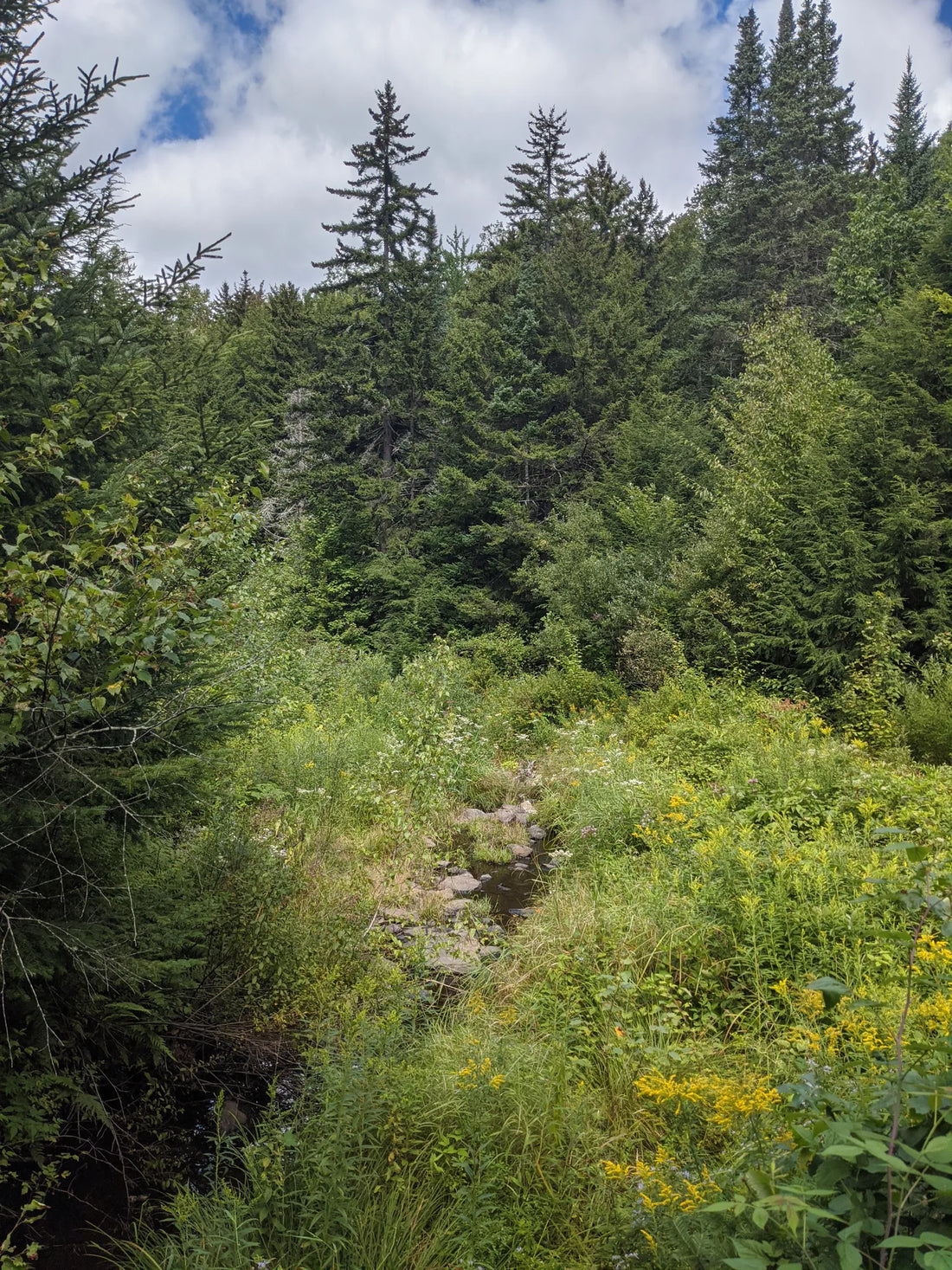 Best or Top Photo Editing Agencies and Companies in Montpelier, Vermont