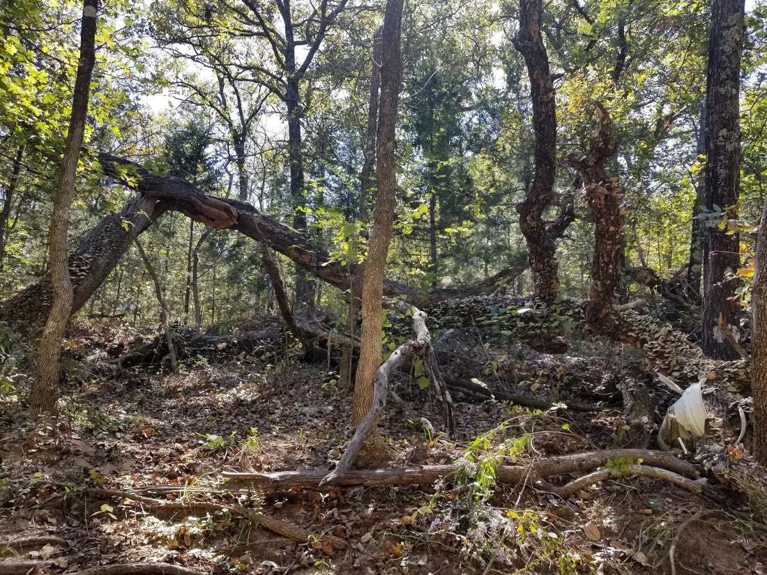 Best or Top Storyboards Agencies and Companies in Ardmore, Oklahoma