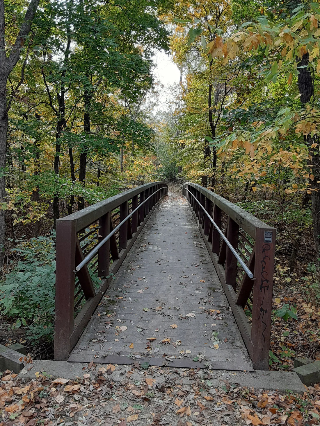 Top or Best Brochure Design Agencies and Companies in Illinois