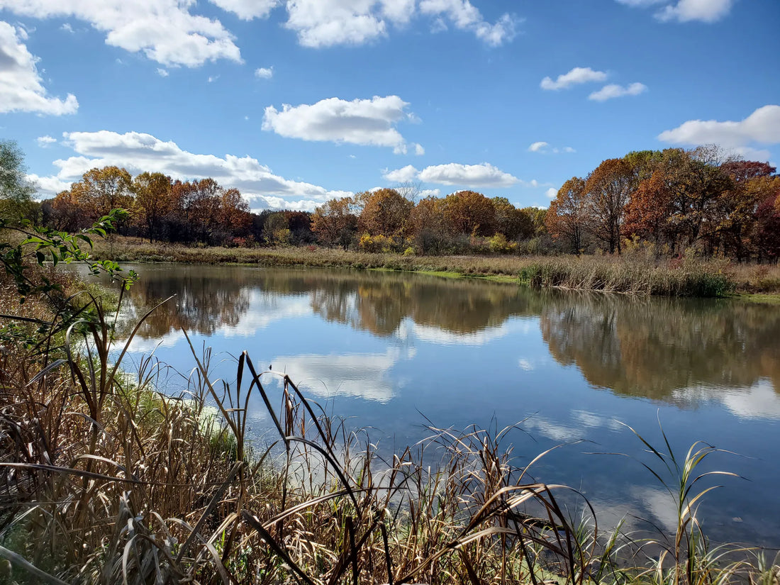 Top or Best Influencer Brand Partnership Agencies and Companies in Illinois