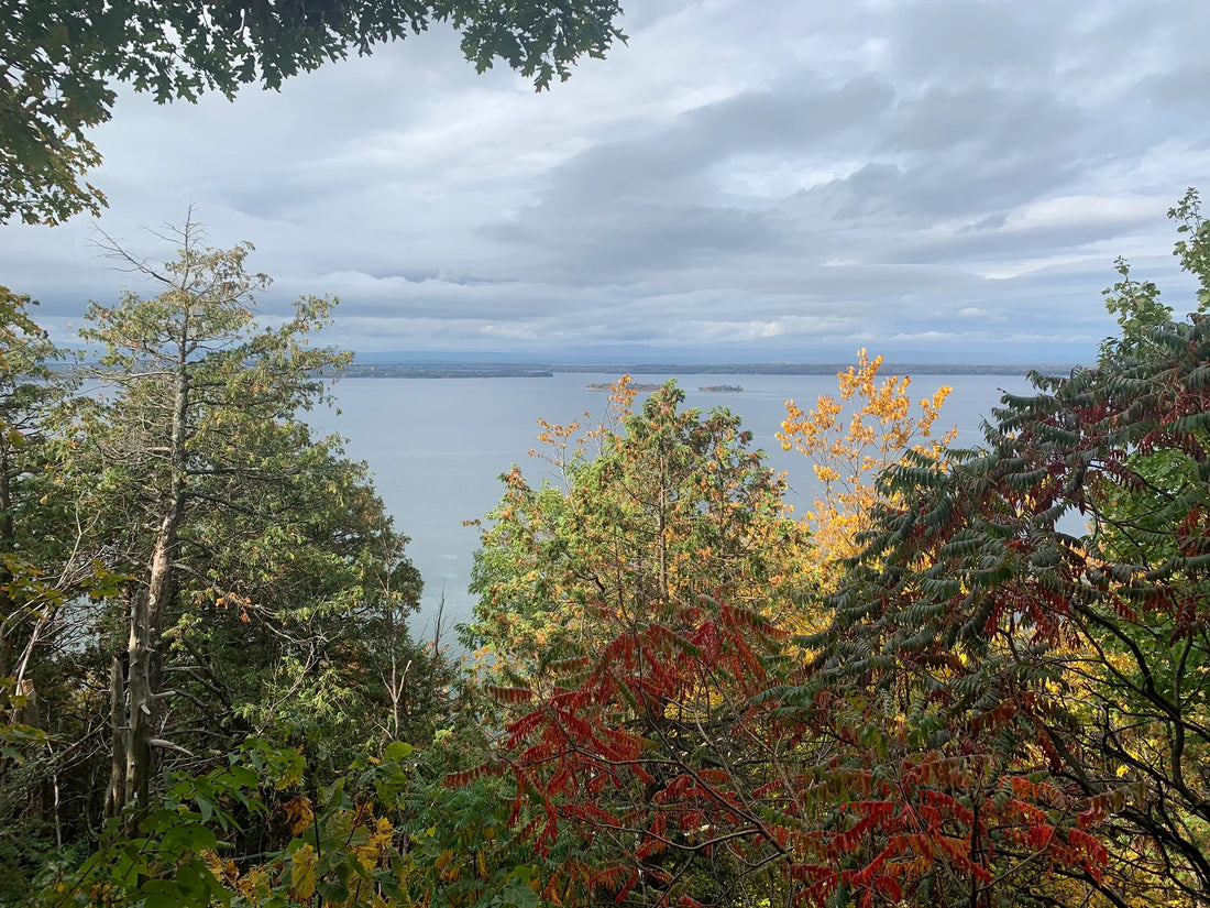 Best or Top TikTok Management Agencies and Companies in St. Johnsbury, Vermont