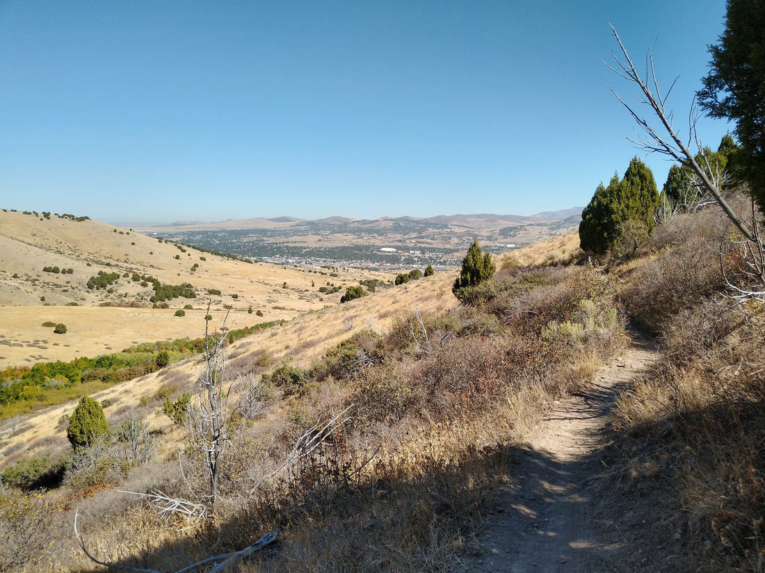 Top or Best Influencer Brand Collaboration Agencies and Companies in Idaho