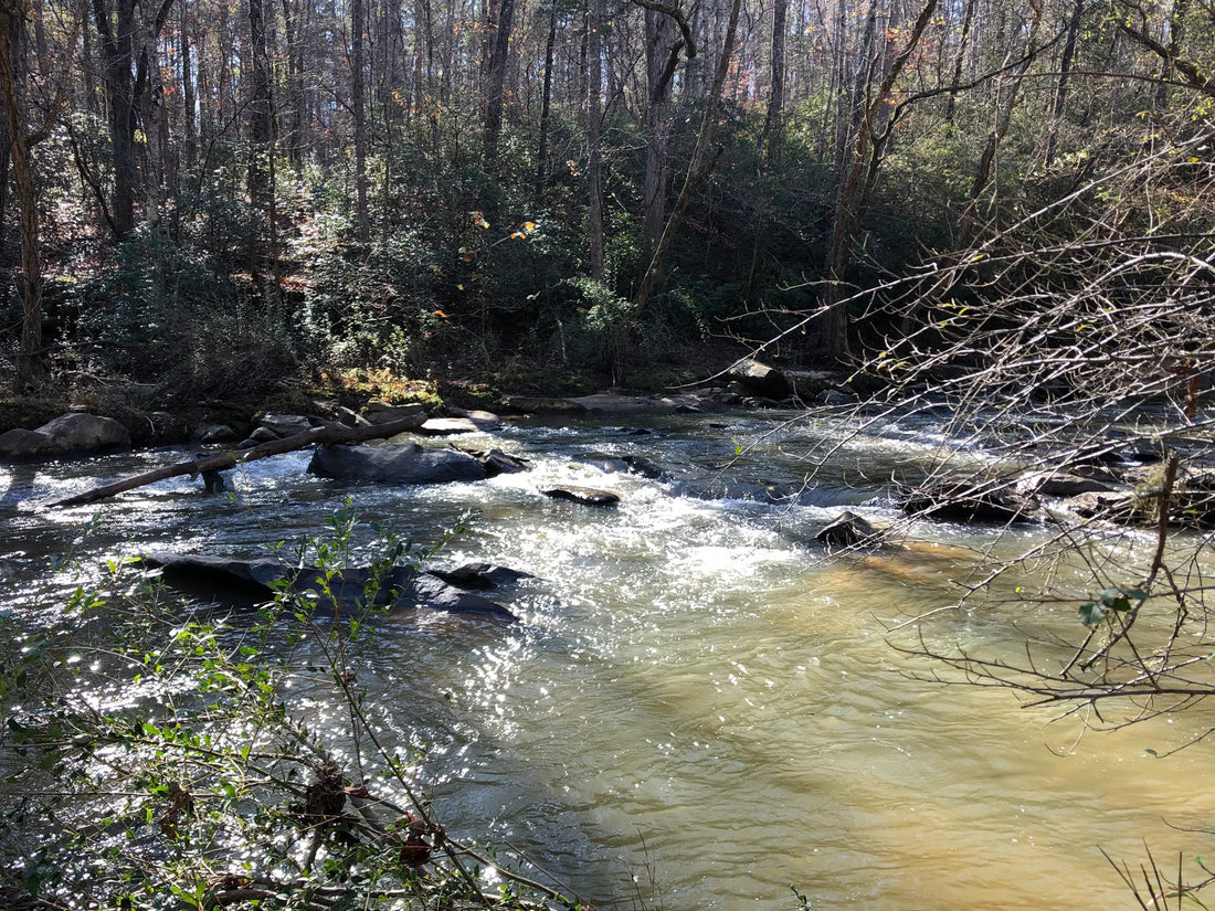 Top or Best Logo Design Subscription Agencies and Companies in Apex, North Carolina