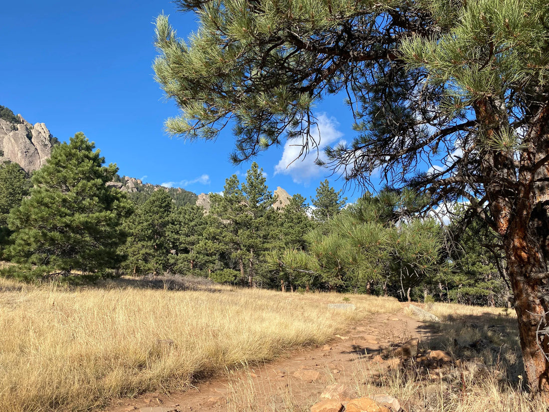 Top Influencer Marketing Campaign Agencies and Companies in Colorado