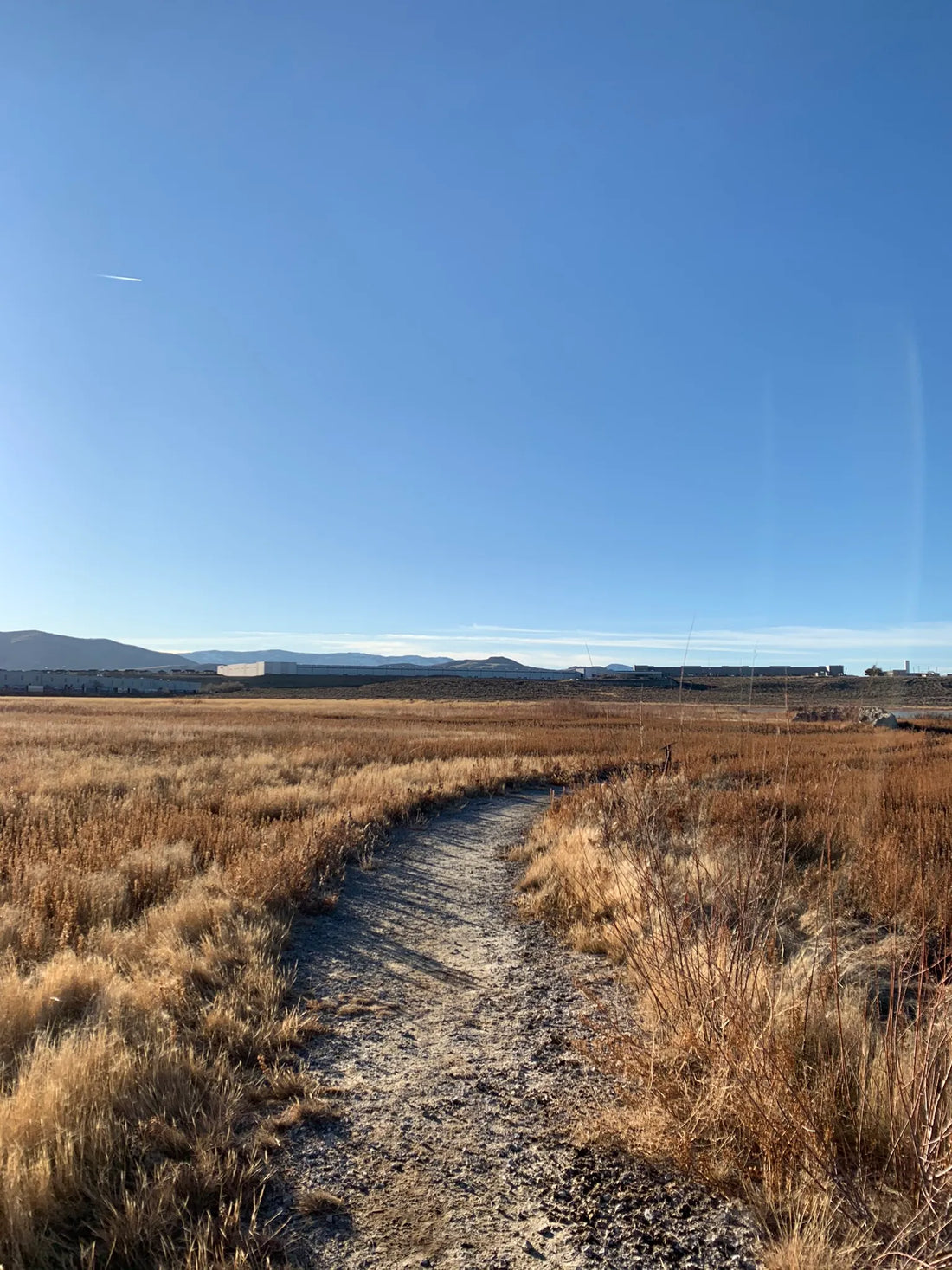 Best or tOP Graphic Design Subscription Agencies and Companies in Reno, Nevada