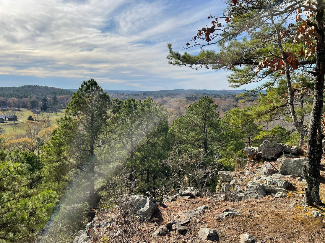 Top Influencer Agencies and Companies in Arkansas